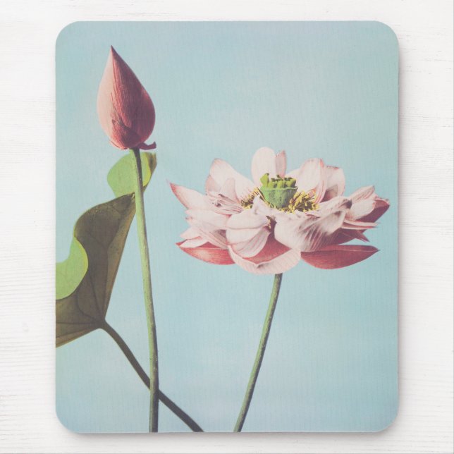 Beautiful photomechanical prints of Lotus Flowers Mouse Pad (Front)