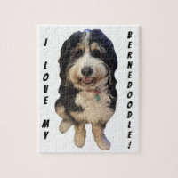 Beautiful picture of Birdie the Bernedoodle dog