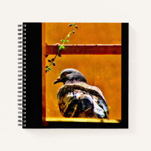 Beautiful Pigeon Notebook