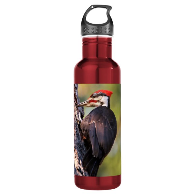 Beautiful Pileated Woodpecker on the Tree 710 Ml Water Bottle (Front)