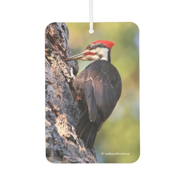 Beautiful Pileated Woodpecker on the Tree Air Freshener (Front)