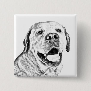 Beautiful Pin Button - Labrador Retriever