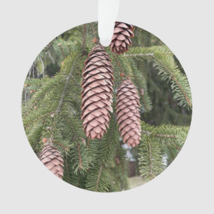 Beautiful Pine Cones Ornament