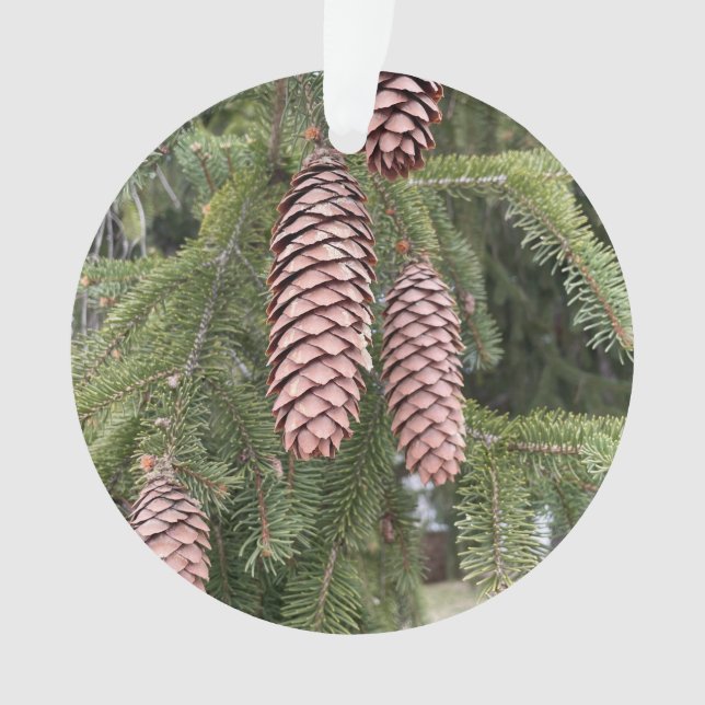 Beautiful Pine Cones Ornament (Front)