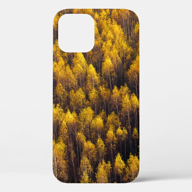 BEAUTIFUL PINE TREE FOREST Case-Mate iPhone CASE (Back)