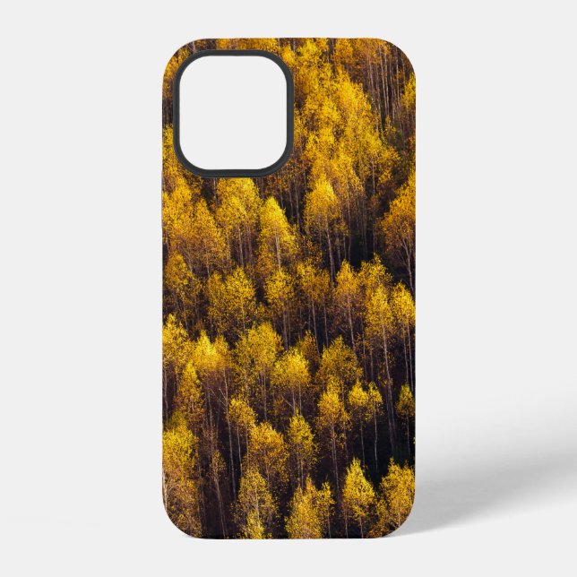 BEAUTIFUL PINE TREE FOREST iPhone CASE (Back)