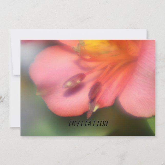 Beautiful Pink Alstroemeria Flower  INVITATION (Front)
