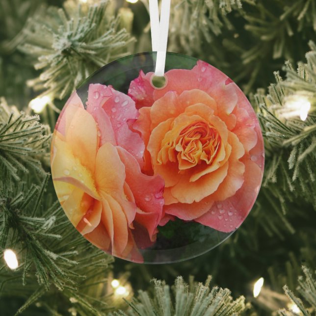 Beautiful pink and orannge rose photo glass ornament (Insitu)