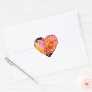 Beautiful pink and orannge rose photo heart sticker