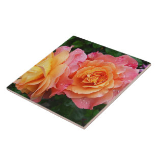 Beautiful pink and orannge rose photo tile