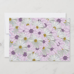 Beautiful Pink and Whtie Daisy Floral Greeting Card