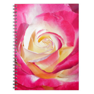 Beautiful pink and yellow rose notebook
