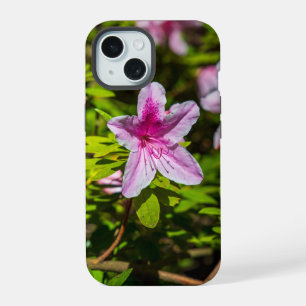 beautiful pink azalea flowers at Descanso Gardens iPhone 15 Case