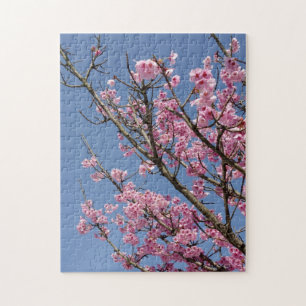 Beautiful pink cherry blossoms and blue sky jigsaw puzzle
