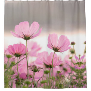 Beautiful Pink Cosmos Garden Flowers Floral