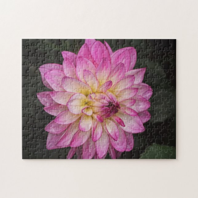 Beautiful Pink Dahlia Flower Puzzle (Horizontal)