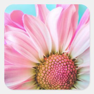 Beautiful Pink Flower Close Up Photo Square Sticker