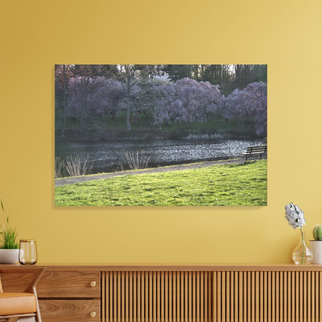 Beautiful Pink Flowered Trees by Pond, NJ 36"x24" Canvas Print (Insitu(LivingRoom))
