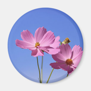 beautiful pink flowers hugging a clear blue sky magnet