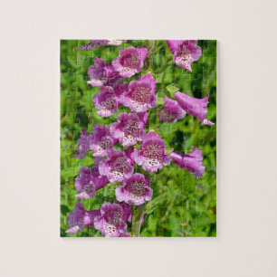 Beautiful pink foxglove flowers jigsaw puzzle