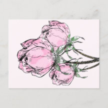 Beautiful Pink Hand Drawn Roses