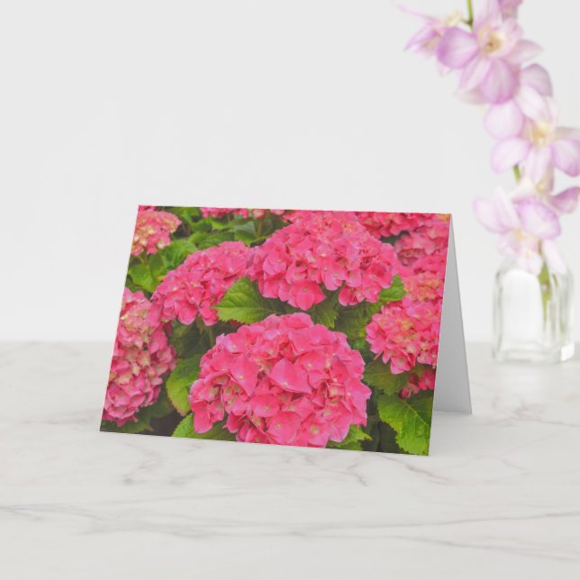 Beautiful Pink Hydrangea Garden Flower Art Card (Orchid)
