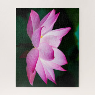 Beautiful Pink Lotus Flower Bloom Jigsaw Puzzle