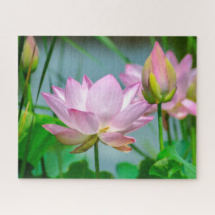 Beautiful Pink Lotus Flowers   Jigsaw Puzzle
