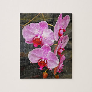 Beautiful pink moth orchids jigsaw puzzle