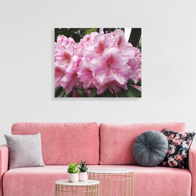 Beautiful Pink Rhododendron Blooms Floral Canvas Print (Insitu(LivingRoom))