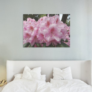 Beautiful Pink Rhododendron Blooms Floral Canvas Print