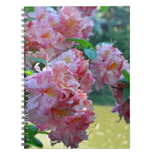 Beautiful pink rhododendrons notebook