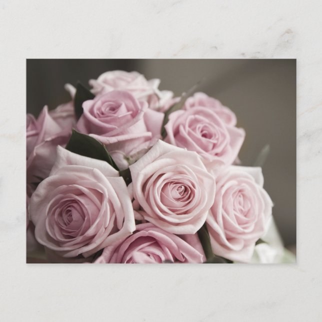 Beautiful pink rose bouquet postcard (Front)