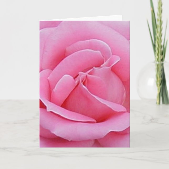 beautiful pink rose card (Front)