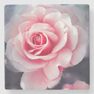 Beautiful Pink Rose Floral Photo Stone Coaster