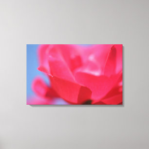 Beautiful Pink Rose Flower Canvas Print