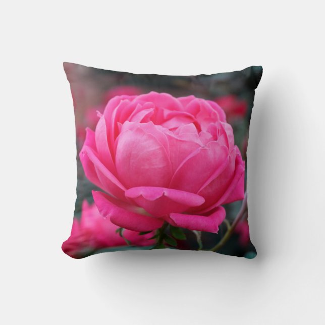 Beautiful Pink Rose Flower Pillow (Front)