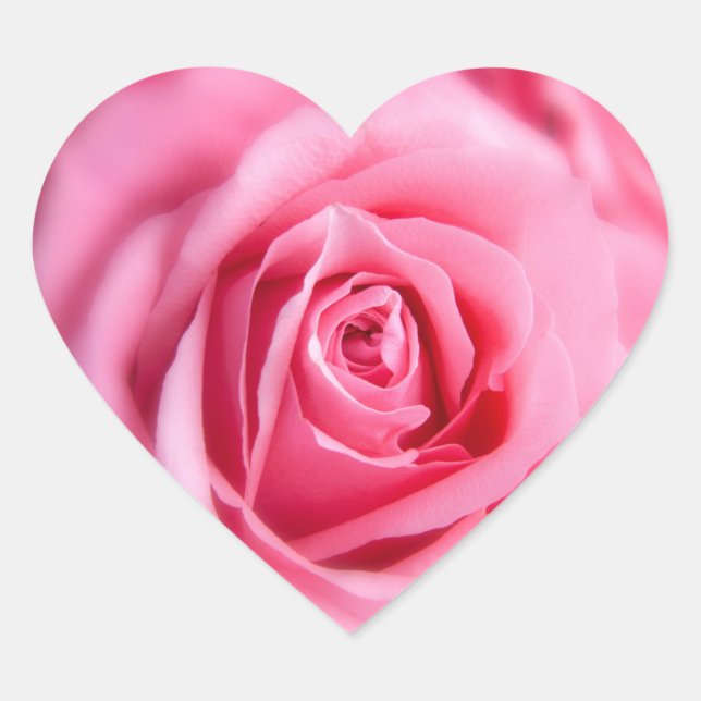 Beautiful Pink Rose Heart Sticker (Front)