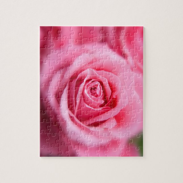 Beautiful Pink Rose Jigsaw Puzzle (Vertical)