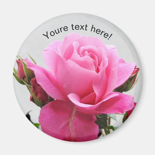 Beautiful Pink Rose Magnet (Front)