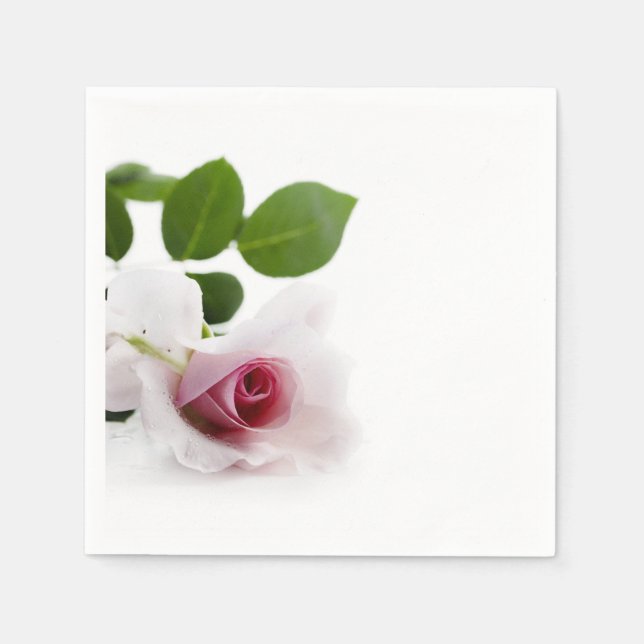 Beautiful pink rose over white background napkin (Front)