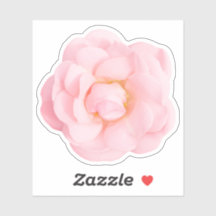 Beautiful pink rose stickers