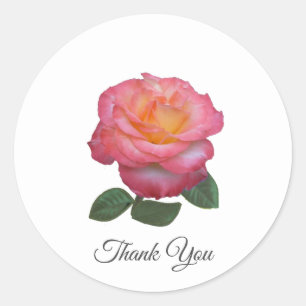 Beautiful Pink Rose Thank You Classic Round Sticke Sticker