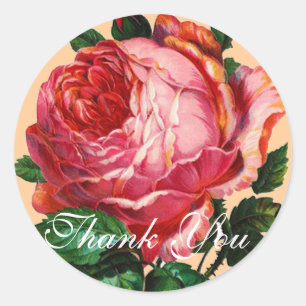 BEAUTIFUL PINK ROSE  Thank You Classic Round Sticker