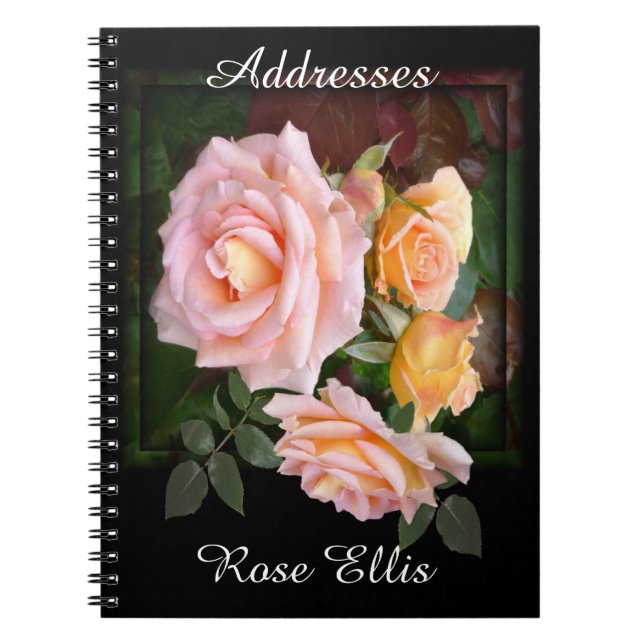 Beautiful Pink Roses Address Notebook (Front)