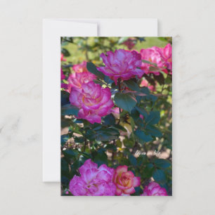Beautiful Pink Roses  Card