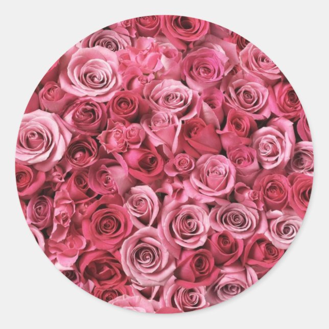 Beautiful Pink Roses Classic Round Sticker (Front)