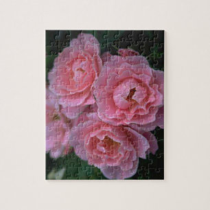 Beautiful Pink Roses Jigsaw Puzzle