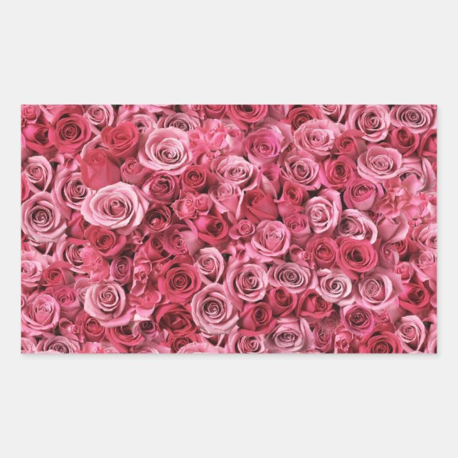 Beautiful Pink Roses Sticker (Front)