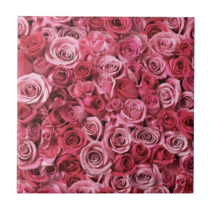 Beautiful Pink Roses Tile